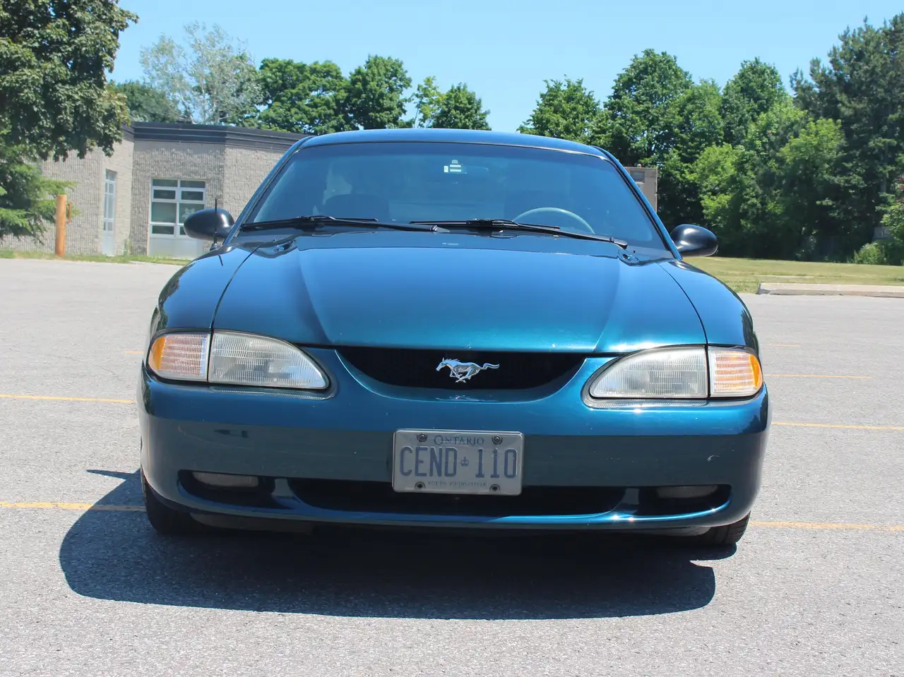 Ford Mustang fotografie Ford Mustang
