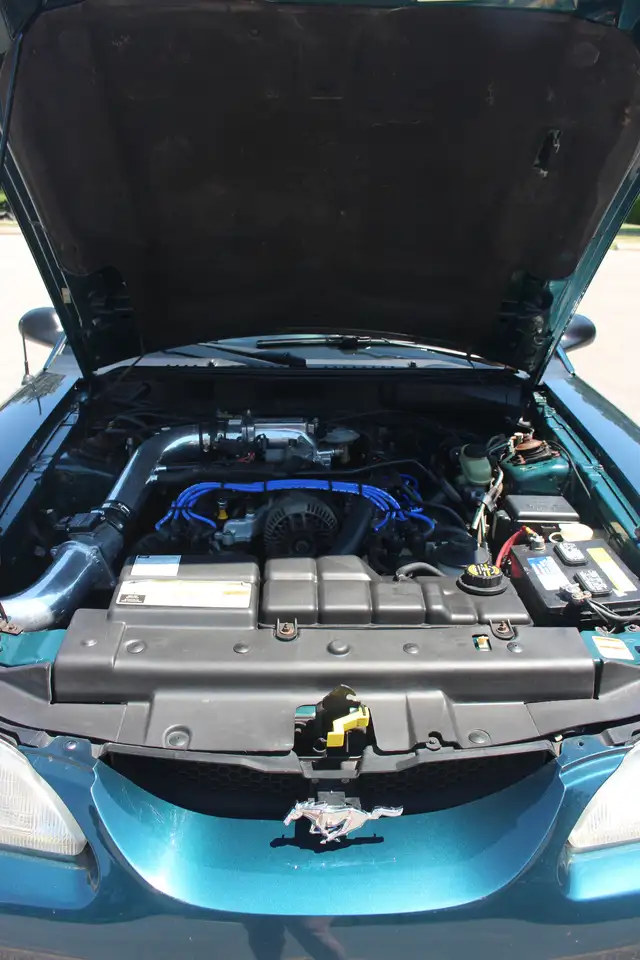 Ford Mustang fotografie Ford Mustang