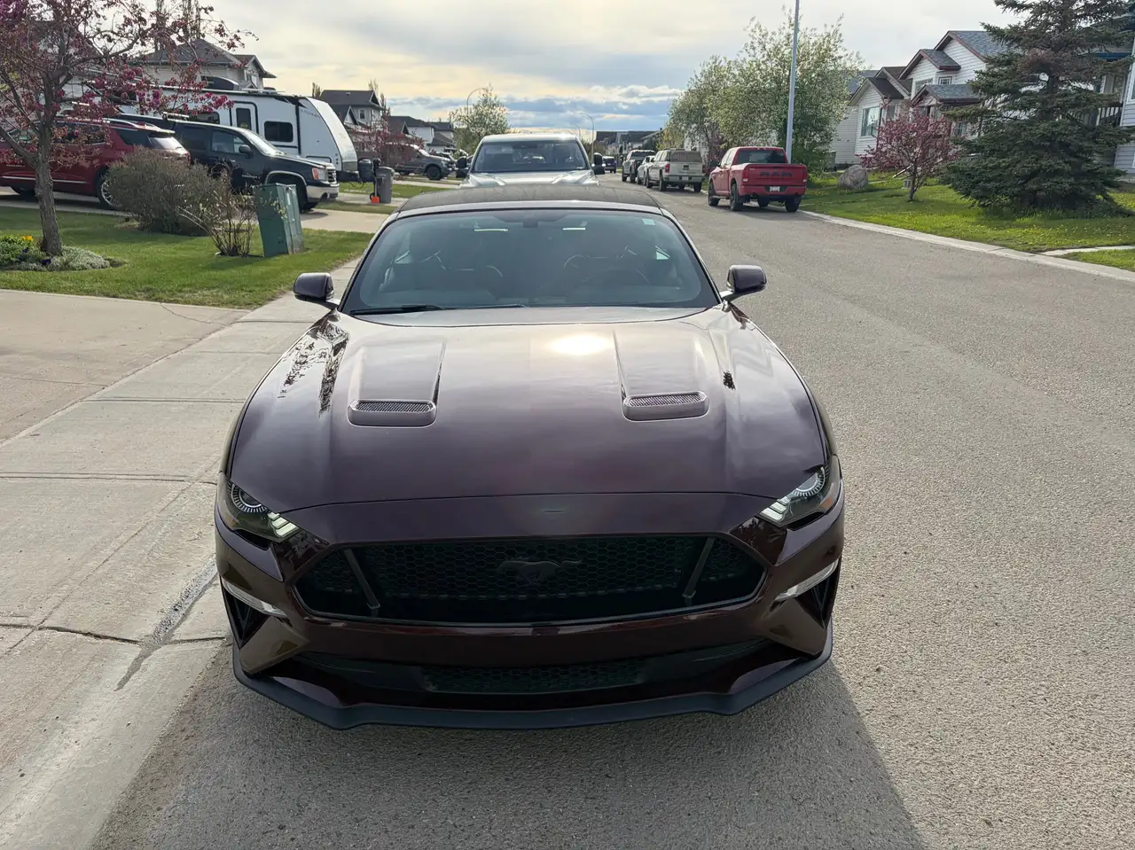 Ford Mustang fotografie Ford Mustang