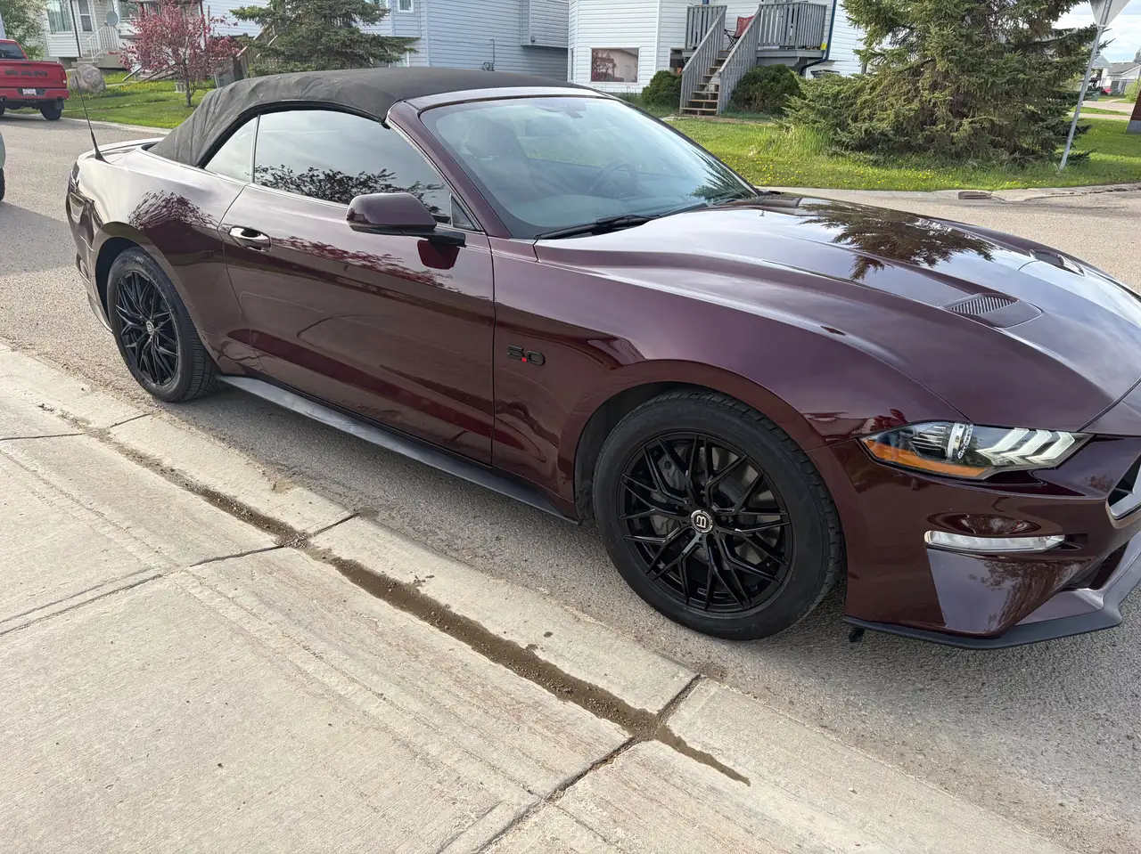 Ford Mustang fotografie Ford Mustang