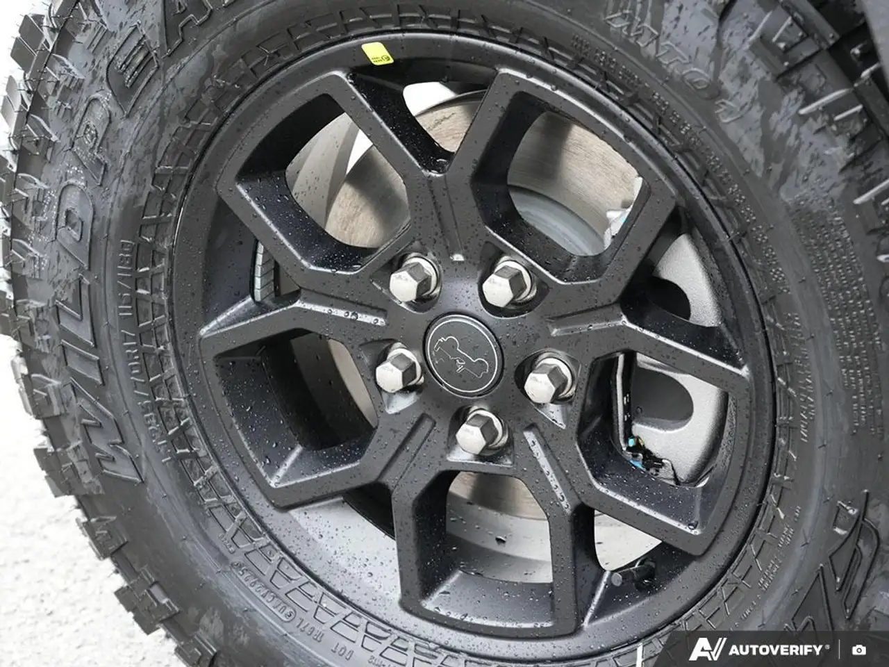 Jeep Wrangler fotografie Jeep Wrangler
