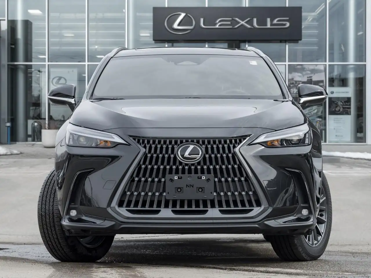 Lexus NX fotografie Lexus NX