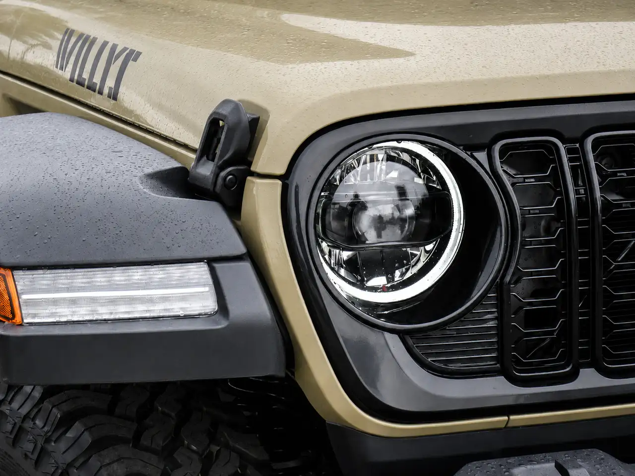 Jeep Wrangler photo Jeep Wrangler