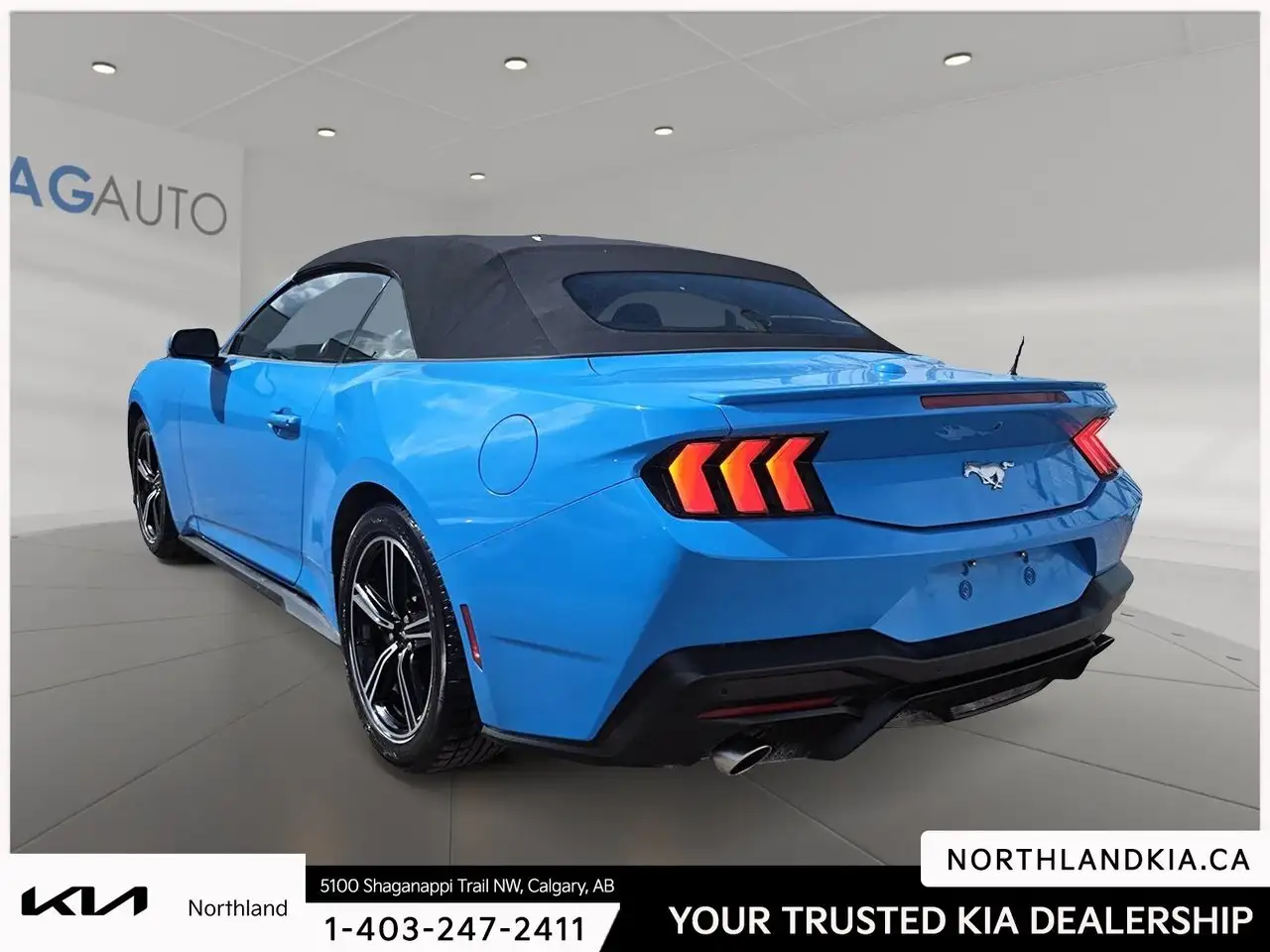 Ford Mustang photo Ford Mustang