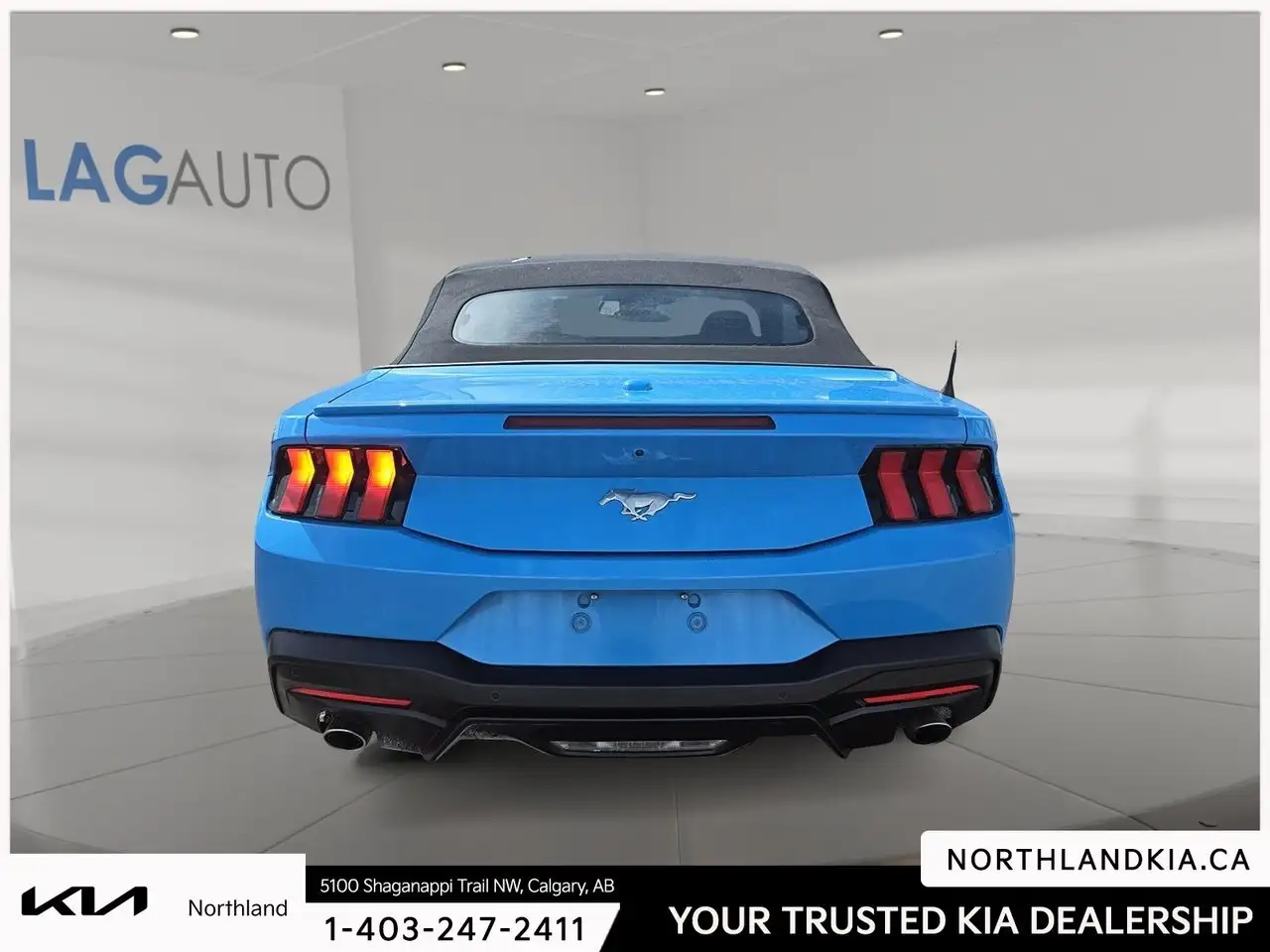 Ford Mustang photo Ford Mustang