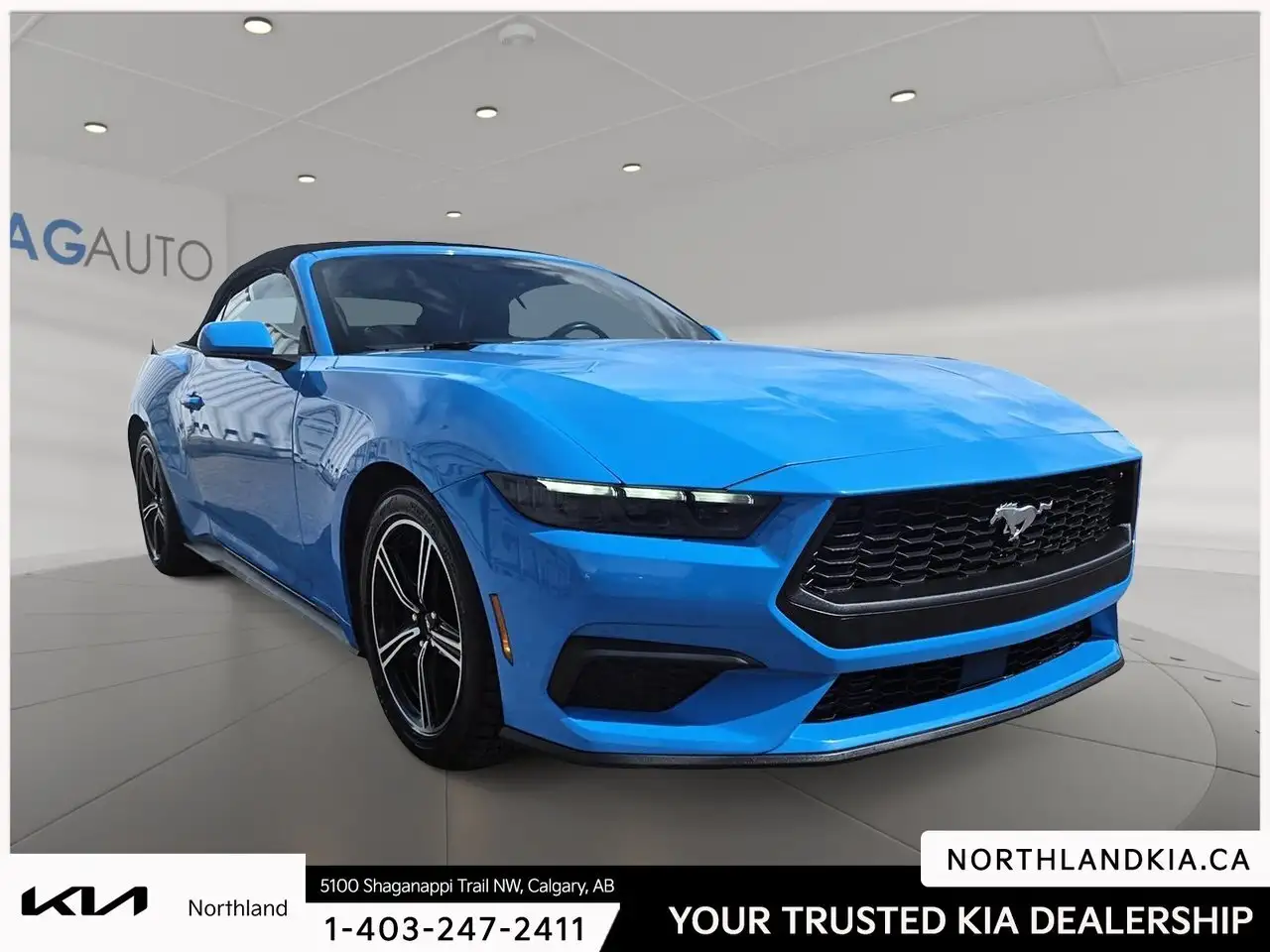 Ford Mustang photo Ford Mustang