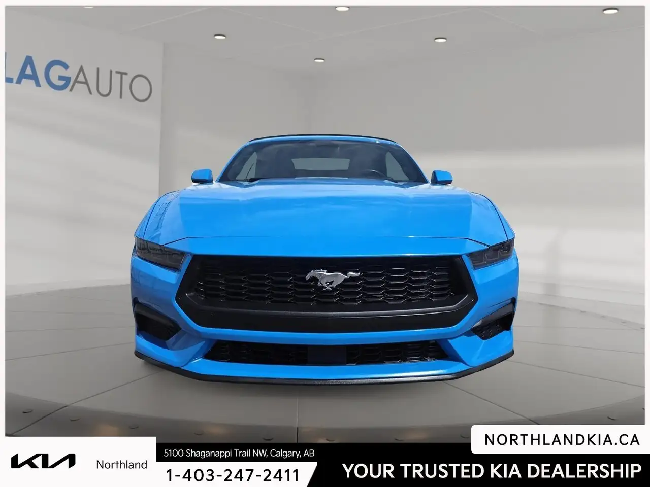 Ford Mustang photo Ford Mustang
