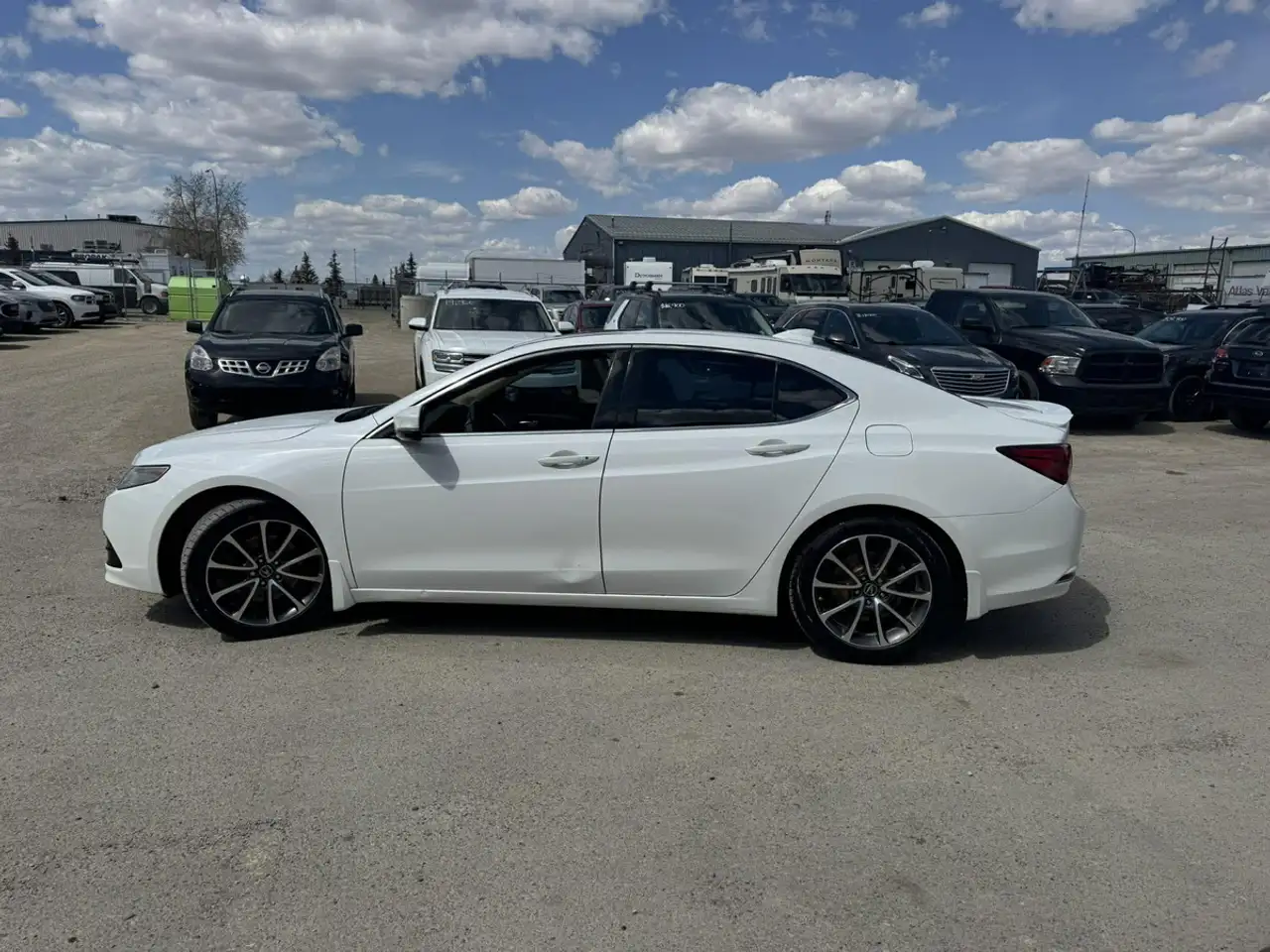 Acura TLX fotografie Acura TLX