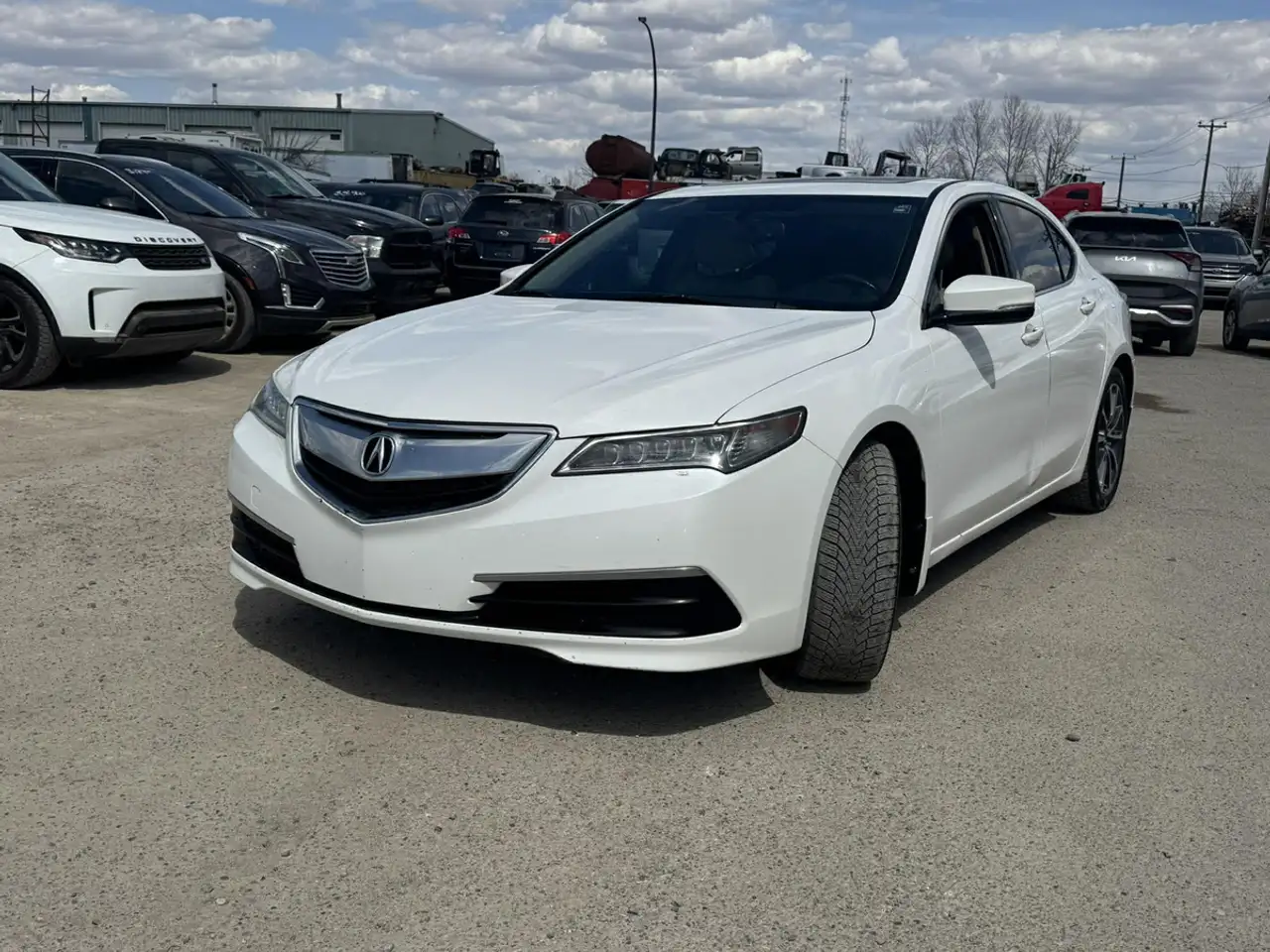 Acura TLX fotografie Acura TLX