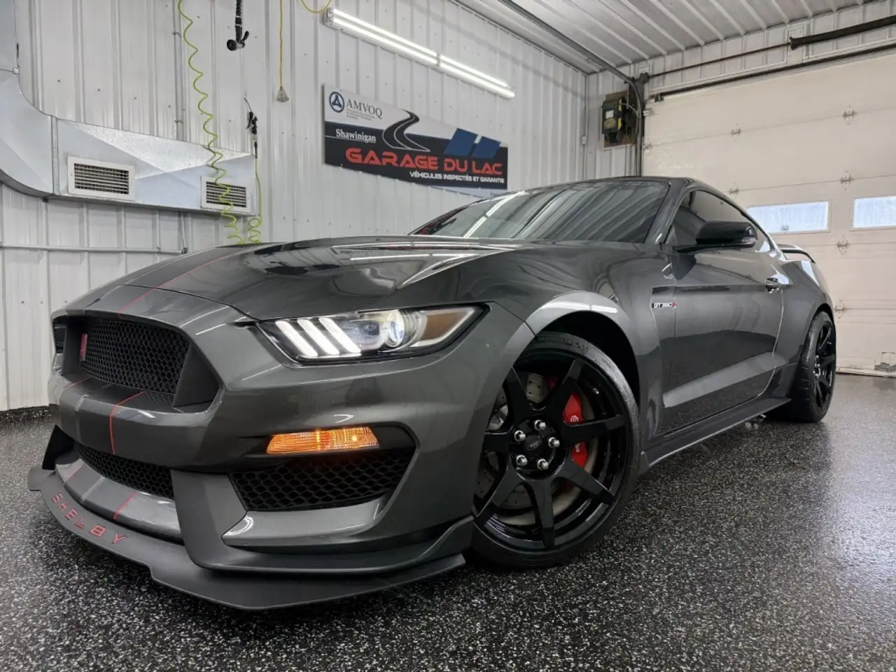 Ford Mustang fotografie Ford Mustang