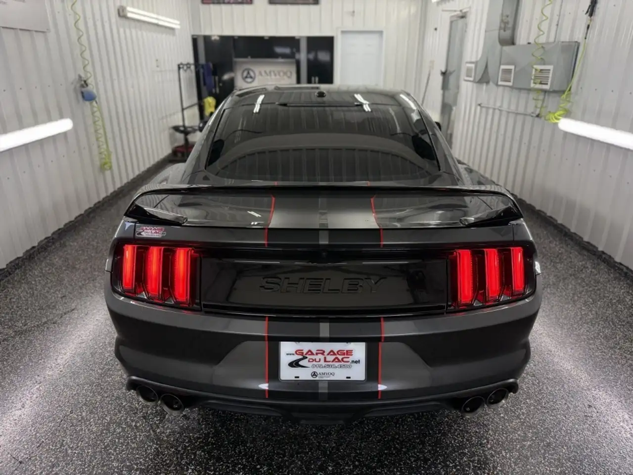 Ford Mustang fotografie Ford Mustang