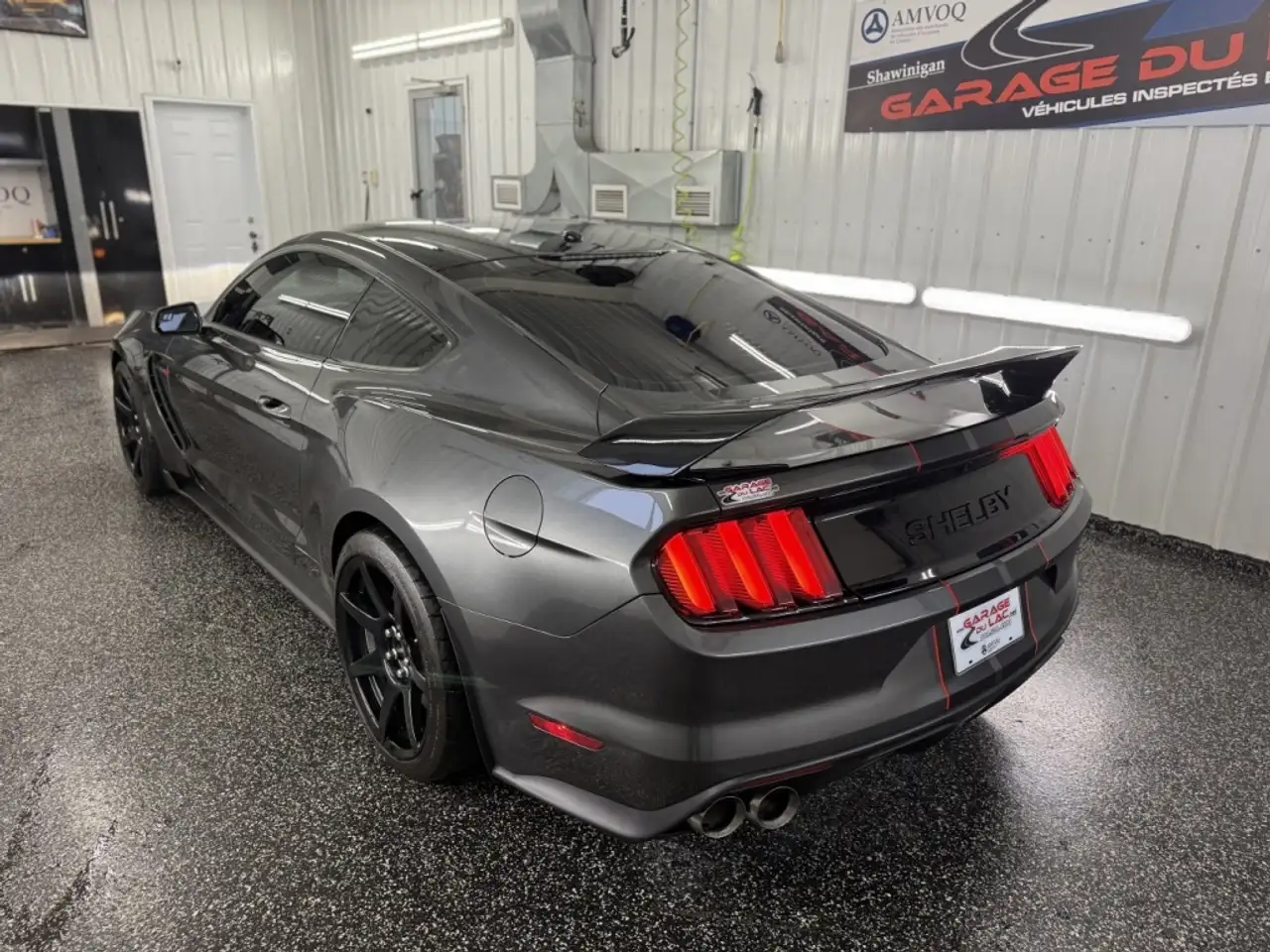 Ford Mustang fotografie Ford Mustang