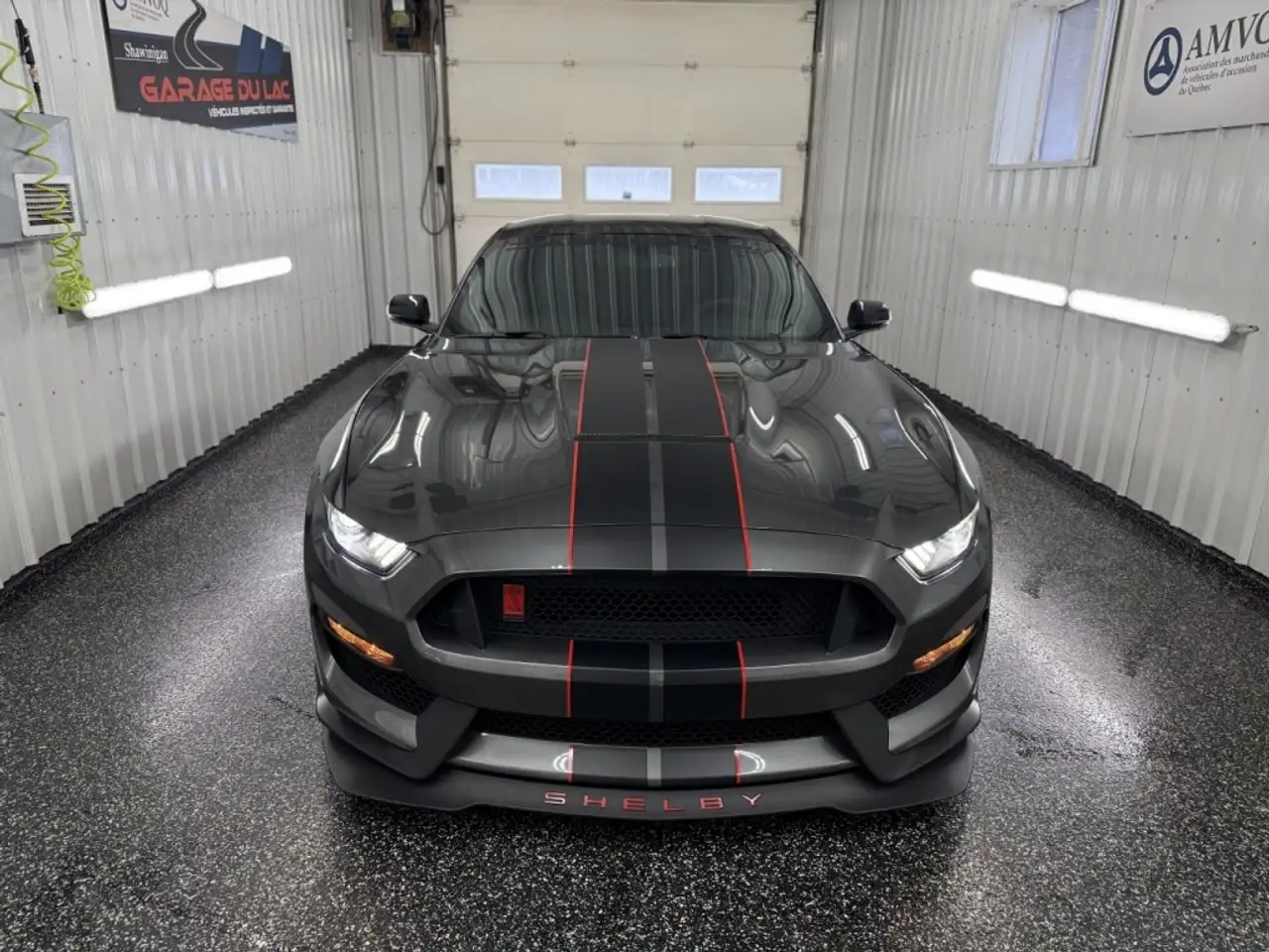 Ford Mustang fotografie Ford Mustang