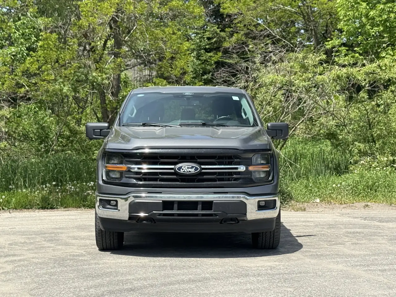 Ford F 150 fotografie Ford F 150