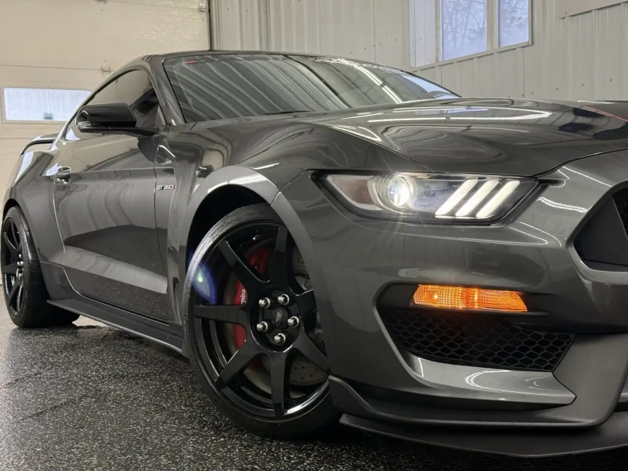 Ford Mustang fotografie Ford Mustang