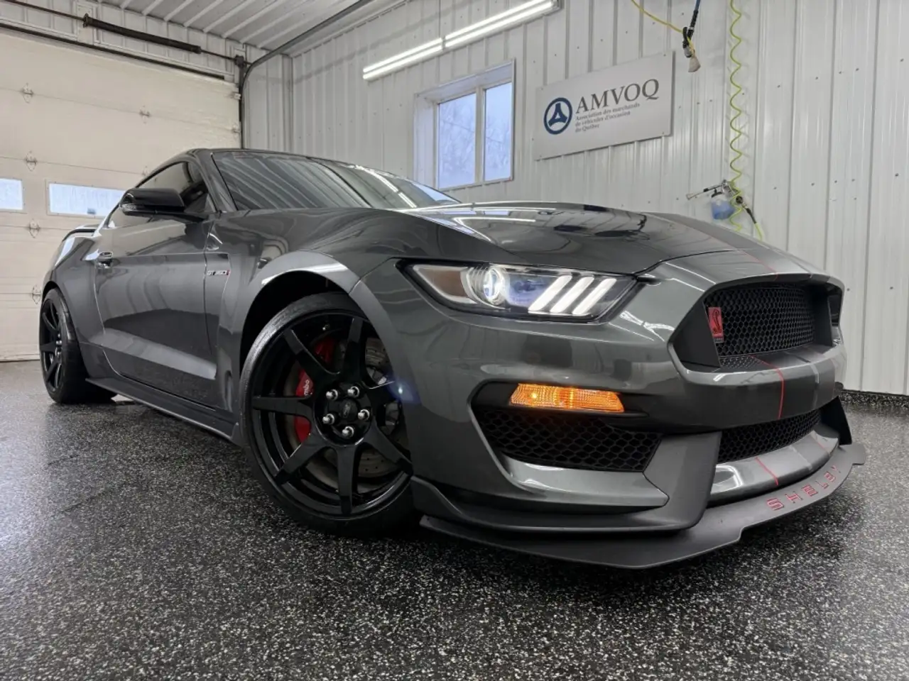 Ford Mustang fotografie Ford Mustang