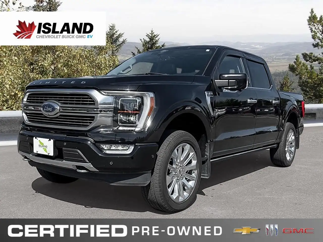 2022 Ford F 150