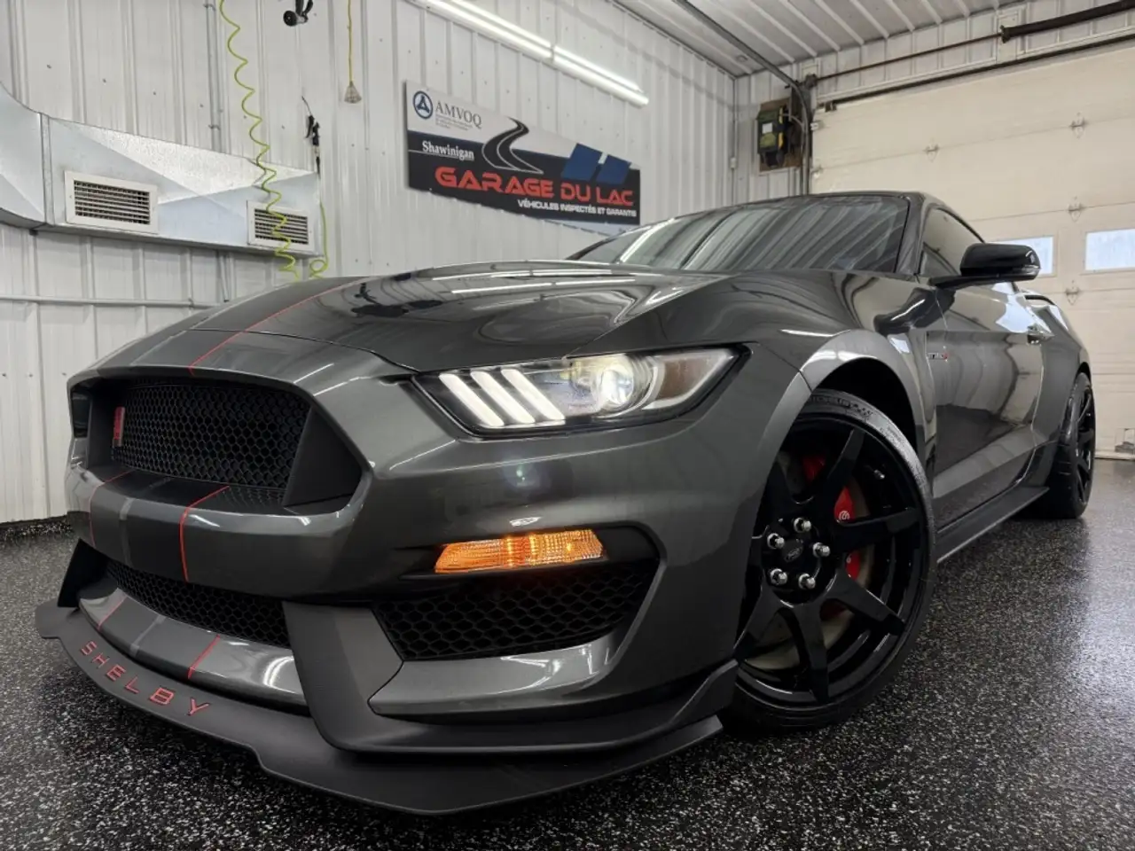 Ford Mustang fotografie Ford Mustang