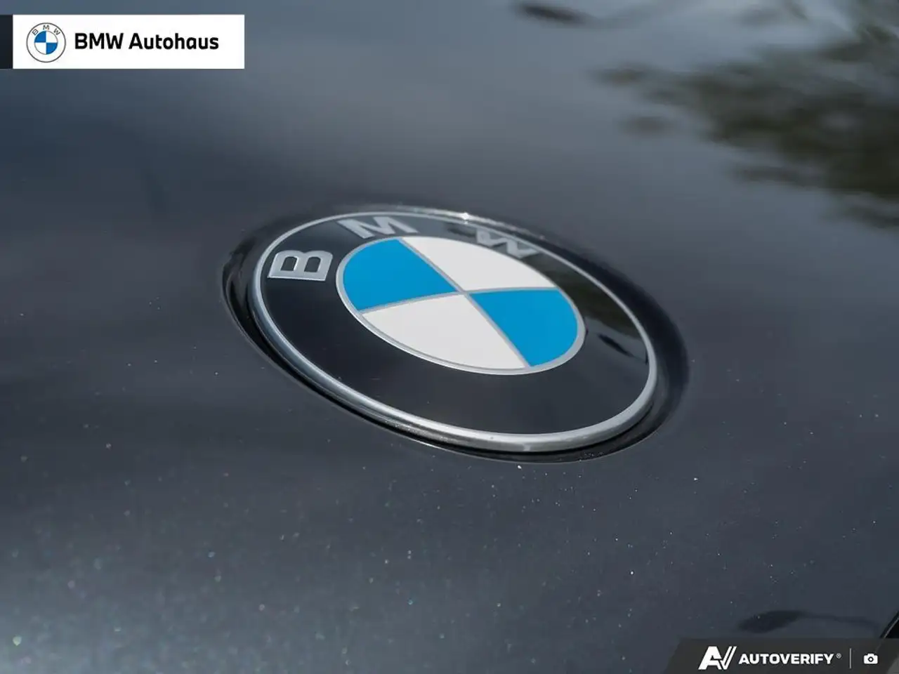 BMW X5 photo BMW X5