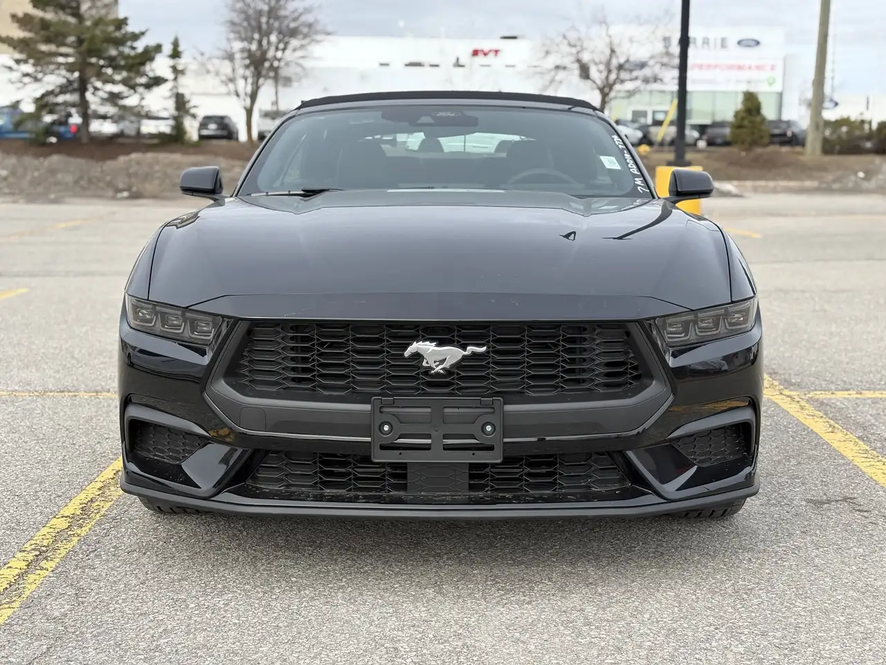 Ford Mustang снимка Ford Mustang