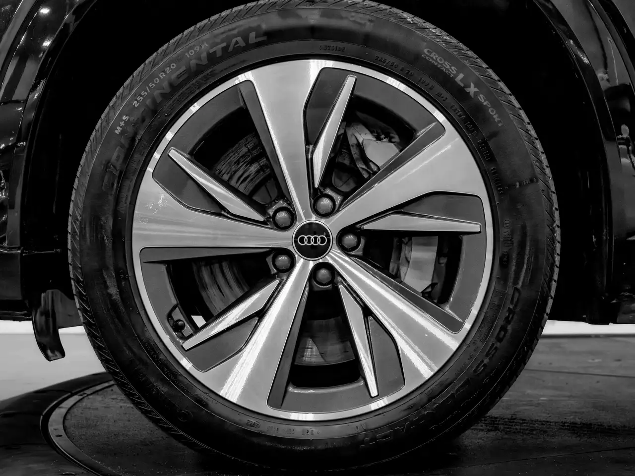 Audi Q8 e-tron fotografie Audi Q8 e-tron