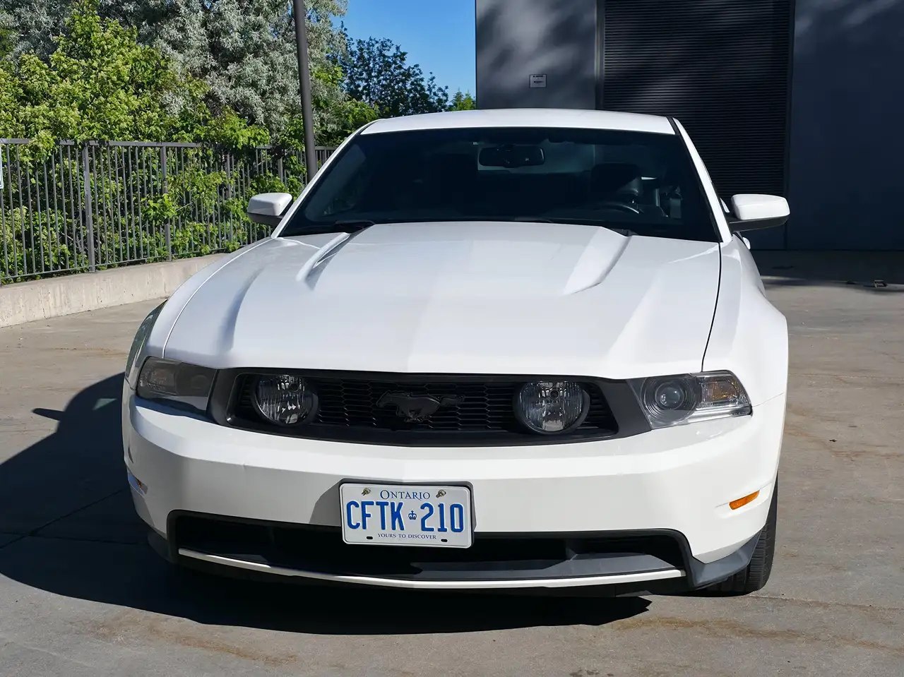 Ford Mustang photo Ford Mustang