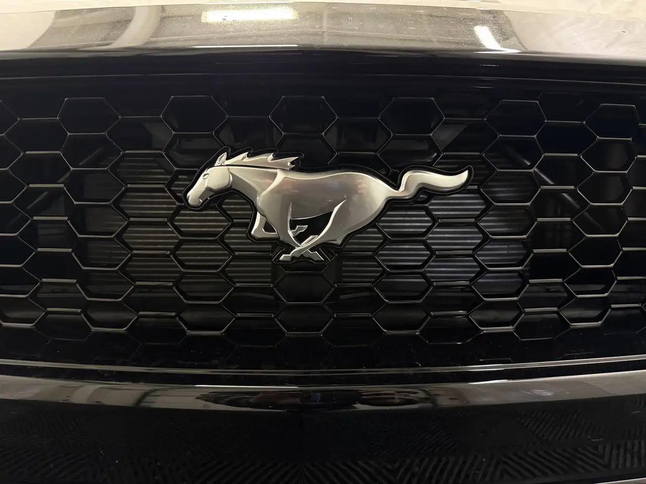 Ford Mustang снимка Ford Mustang