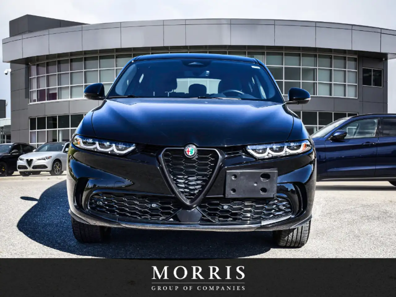 Alfa Romeo Tonale снимка Alfa Romeo Tonale