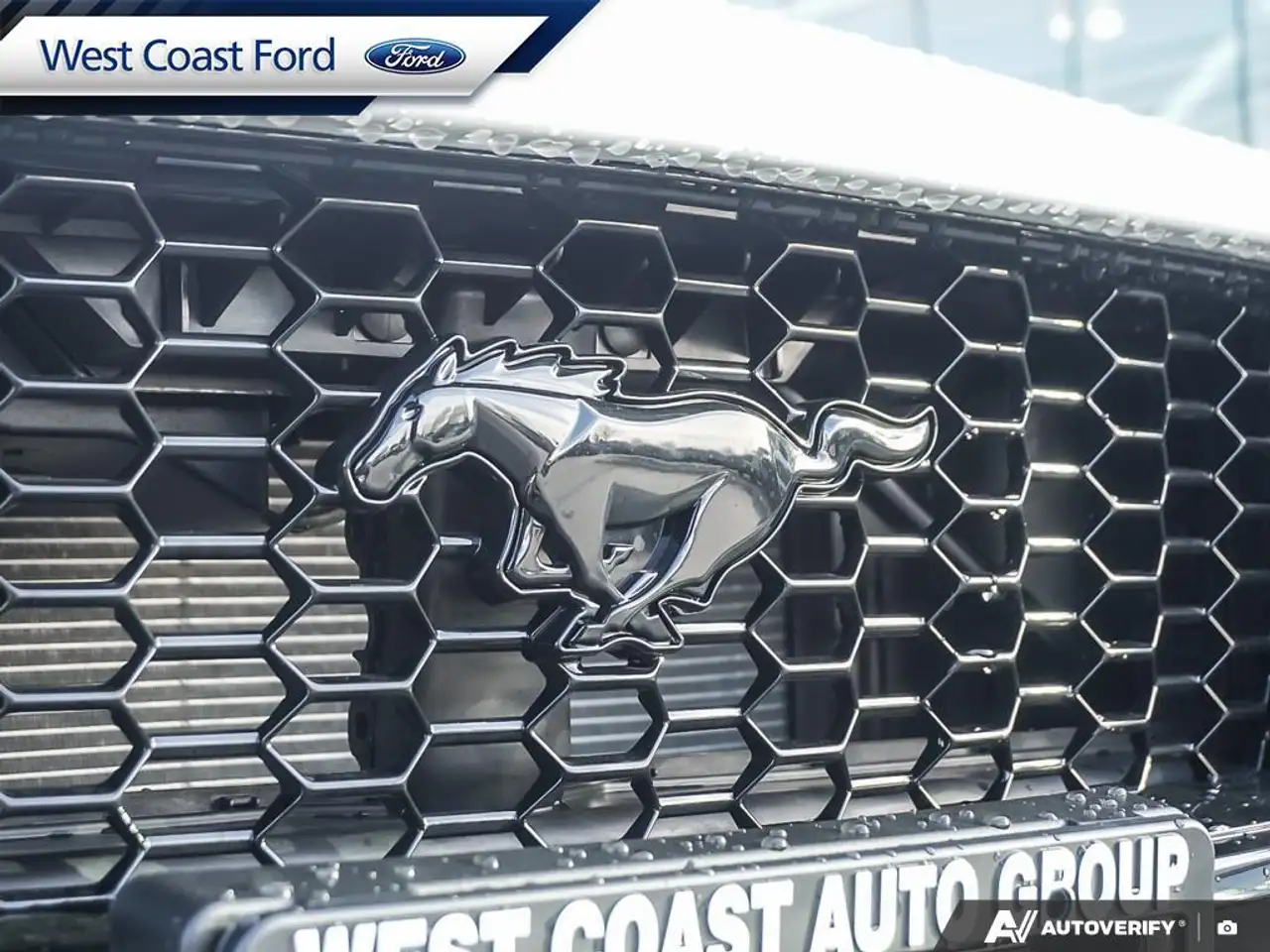 Ford Mustang снимка Ford Mustang