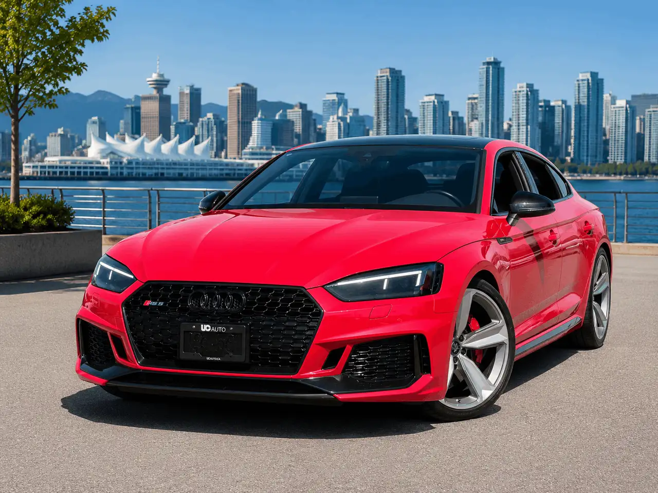 2019 Audi RS5