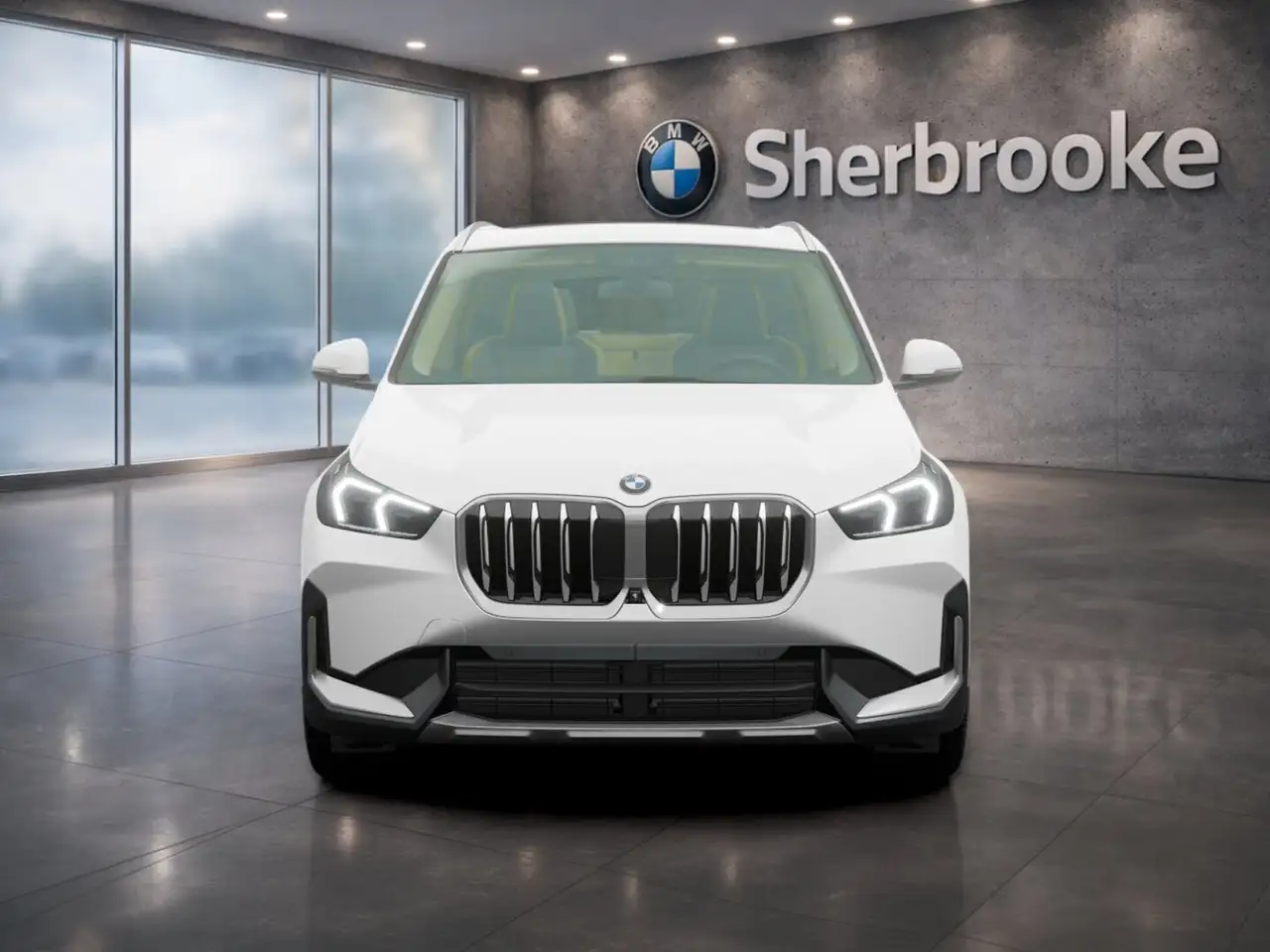 BMW X1 photo BMW X1