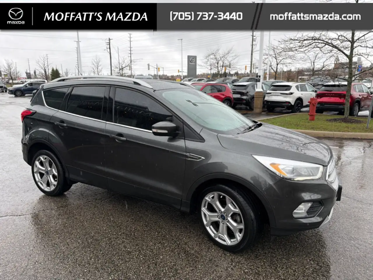 Ford Escape photo Ford Escape