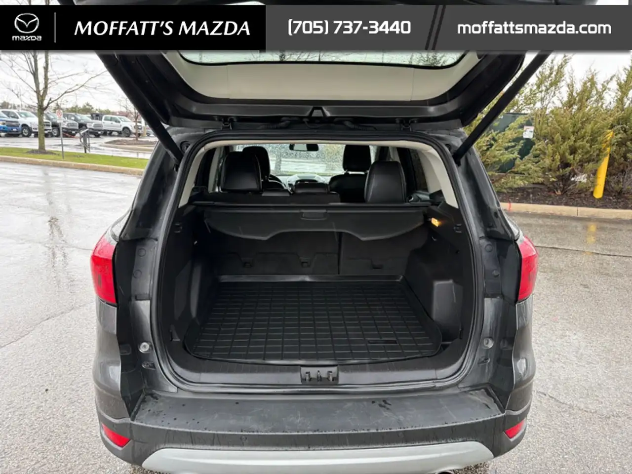 Ford Escape photo Ford Escape