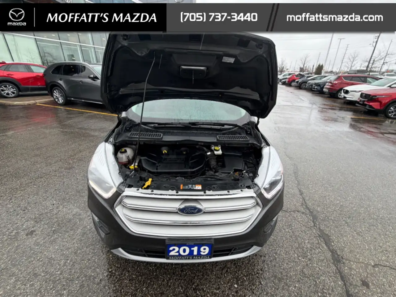 Ford Escape photo Ford Escape