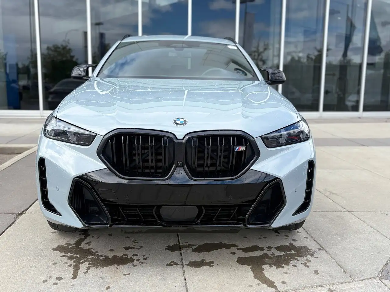 2025 BMW X6