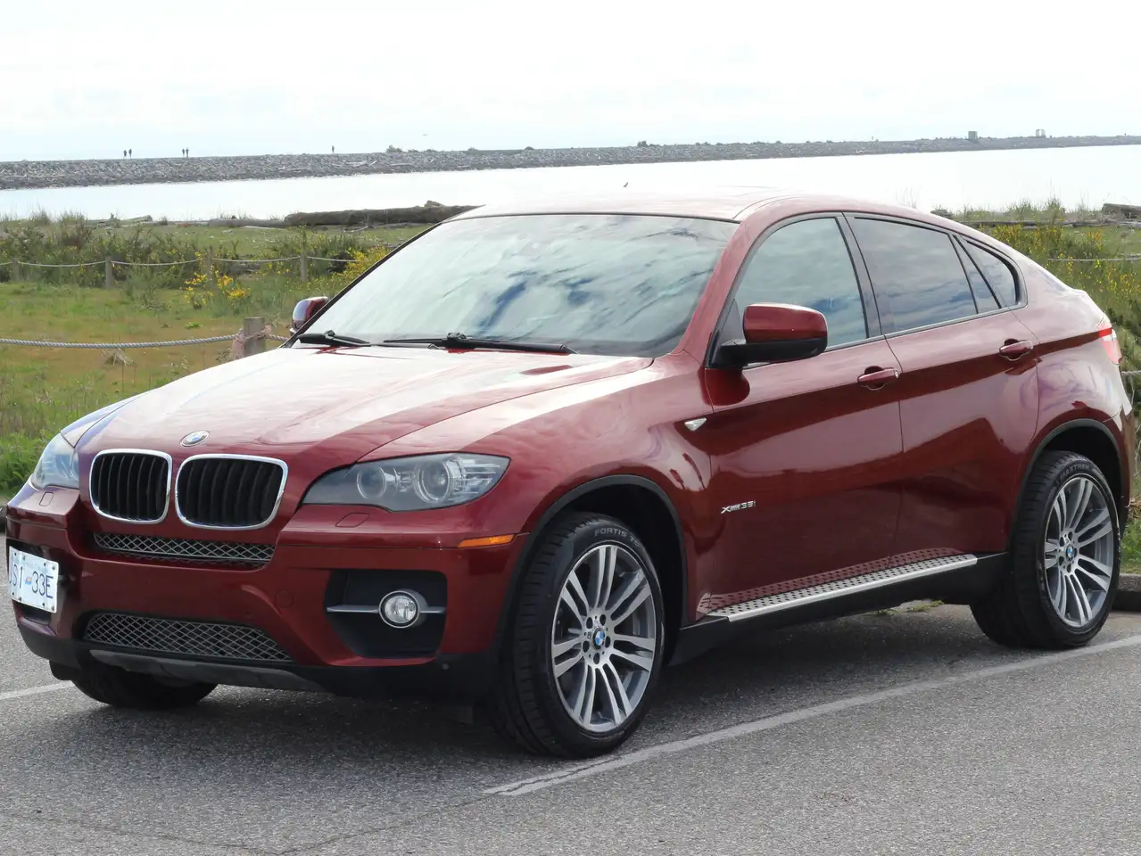 2009 BMW X6