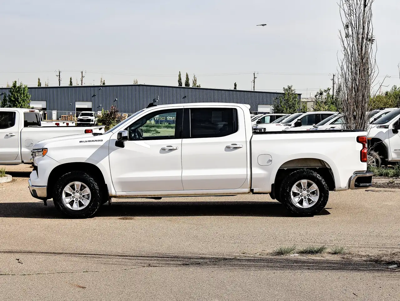 Chevrolet Silverado 1500 photo Chevrolet Silverado 1500