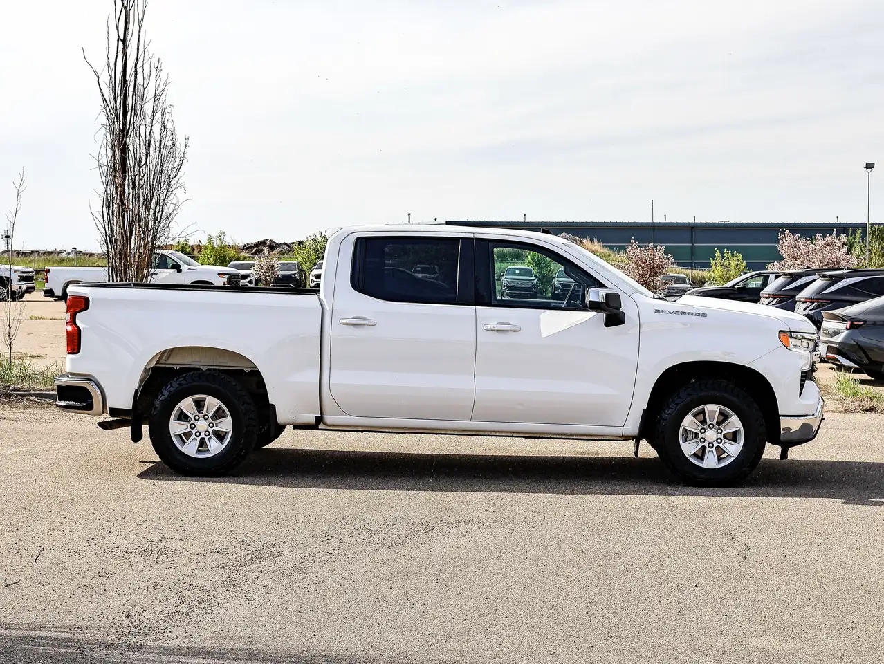 Chevrolet Silverado 1500 photo Chevrolet Silverado 1500
