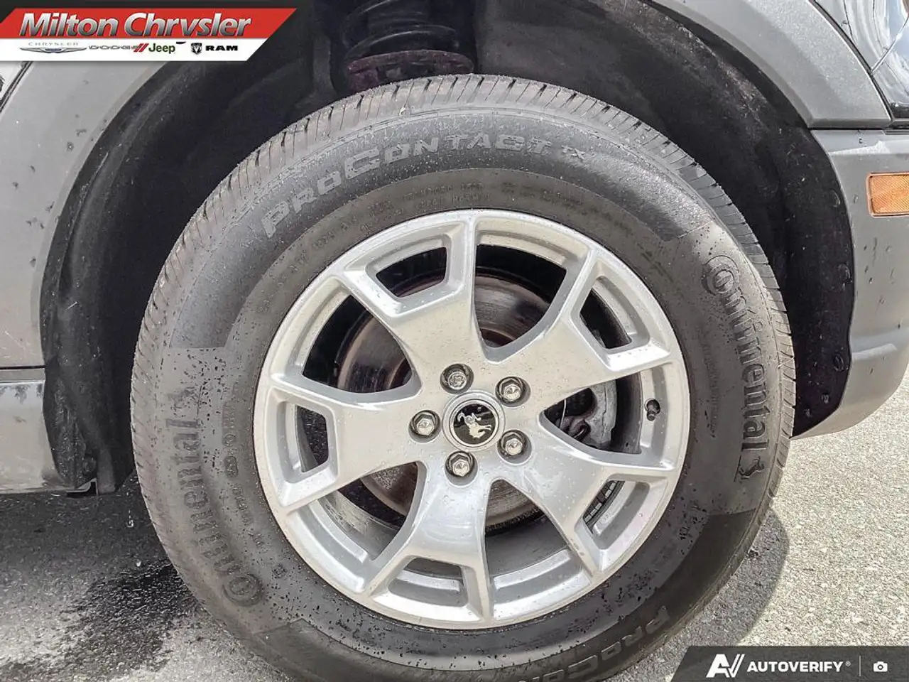 Ford Bronco Sport снимка Ford Bronco Sport