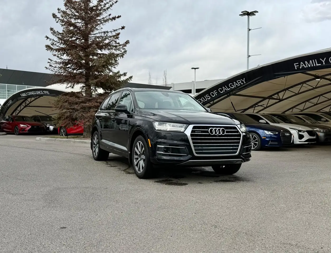 2019 Audi Q7