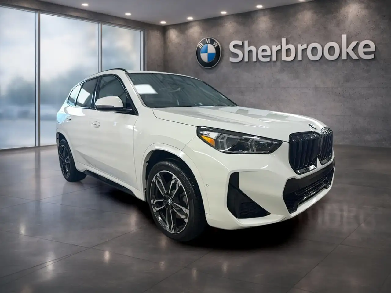 BMW X1 снимка BMW X1