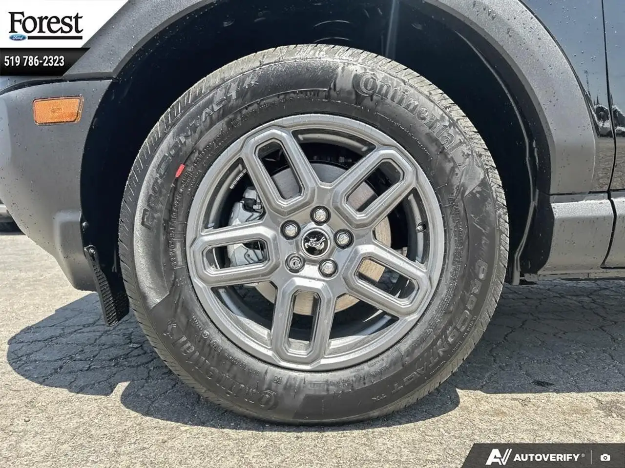 Ford Bronco Sport photo Ford Bronco Sport