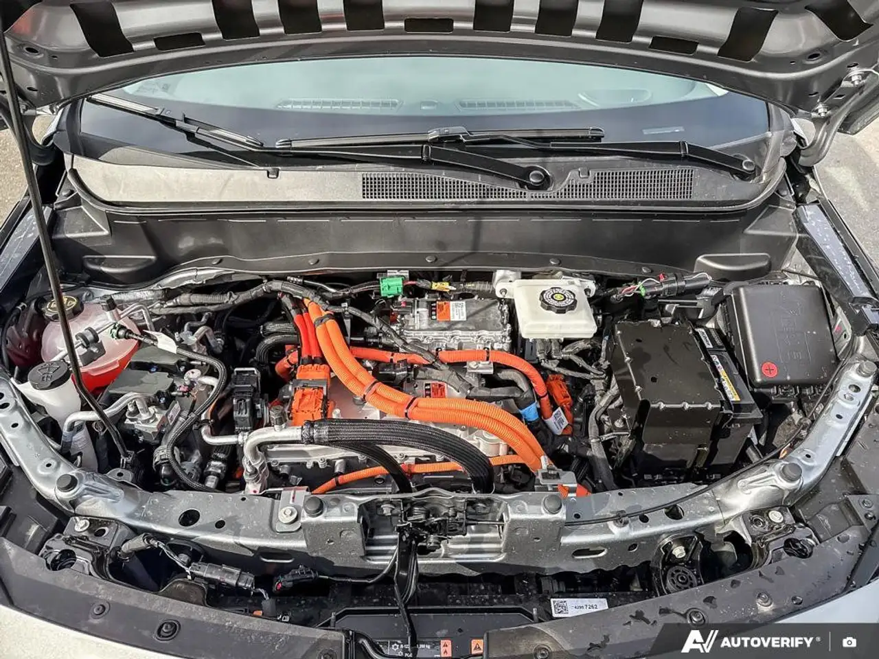 Chevrolet Bolt fotografie Chevrolet Bolt