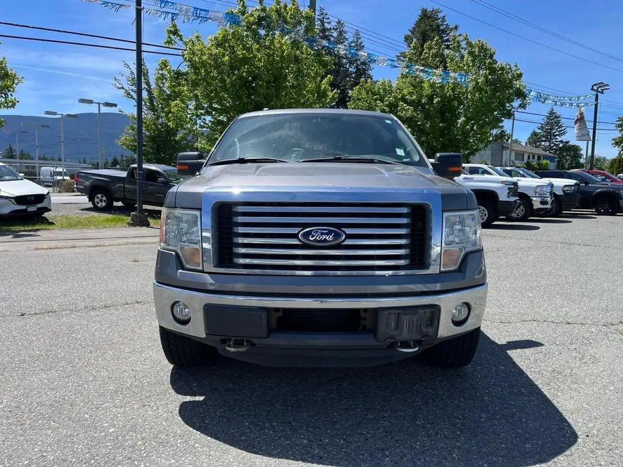 Ford F 150 fotografie Ford F 150