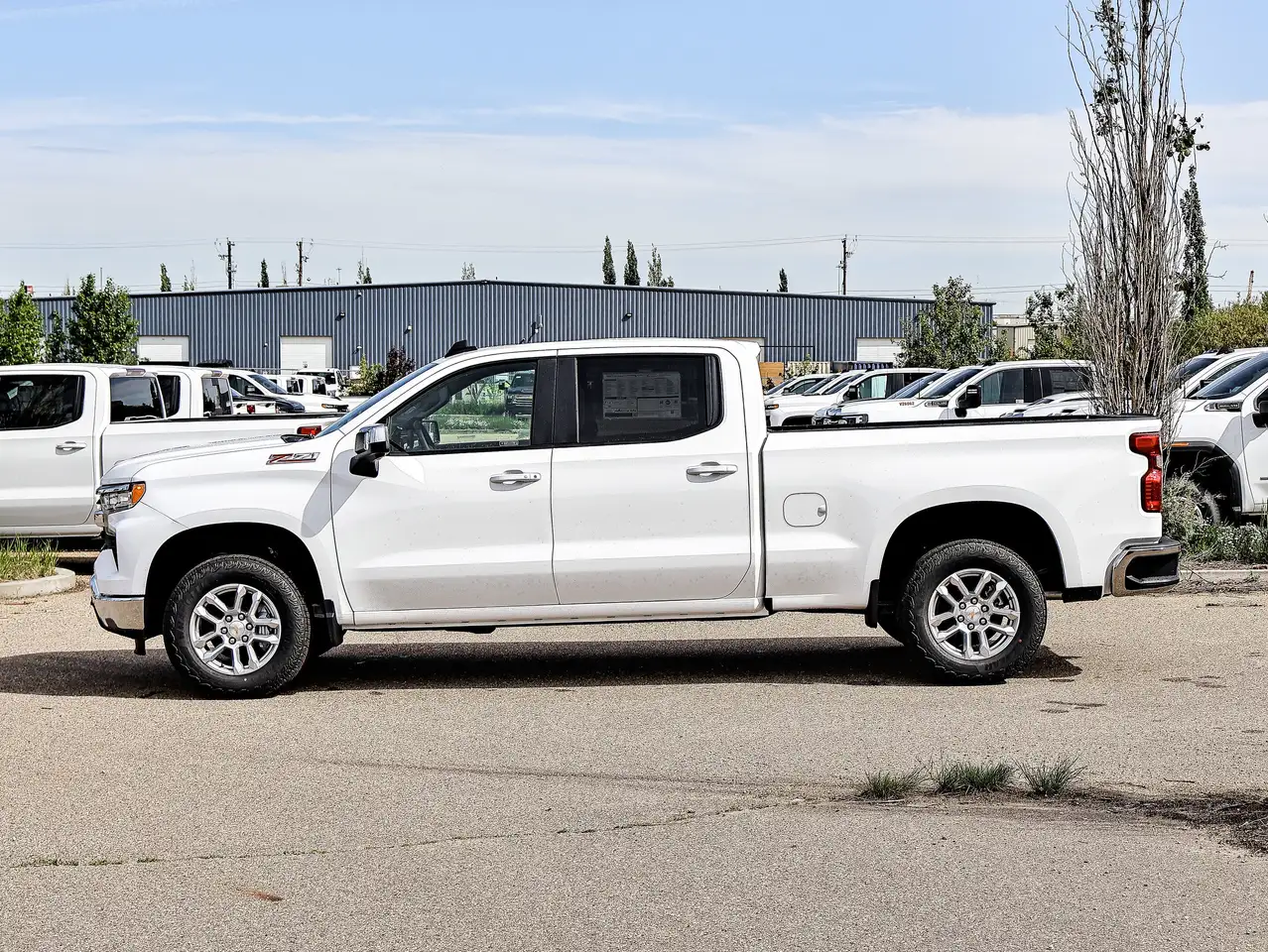 Chevrolet Silverado 1500 fotografie Chevrolet Silverado 1500