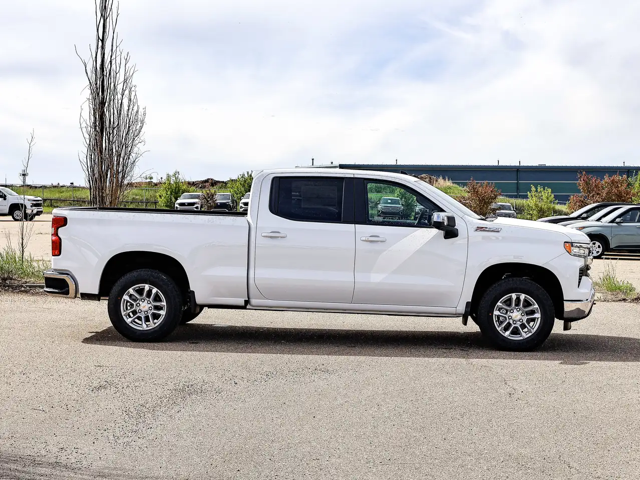 Chevrolet Silverado 1500 fotografie Chevrolet Silverado 1500