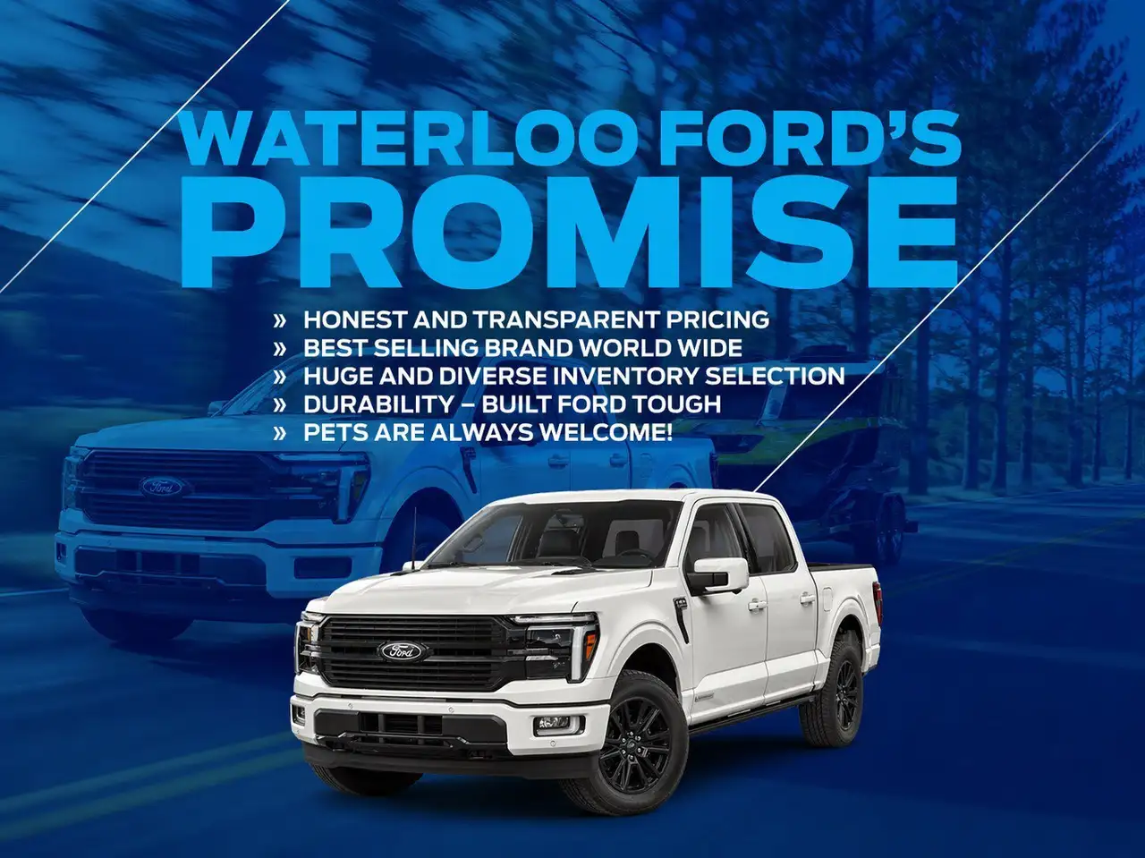 Ford Bronco Sport снимка Ford Bronco Sport