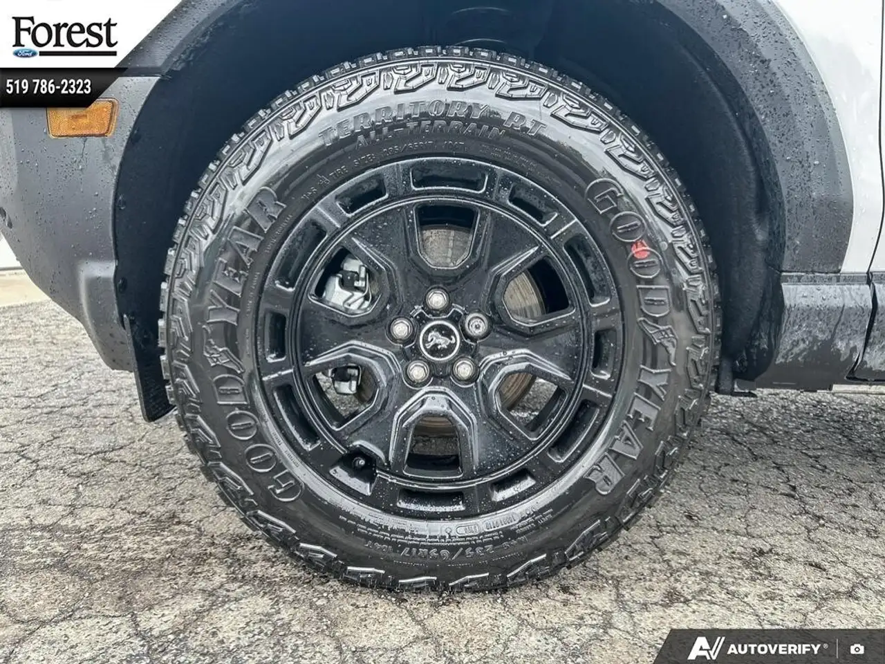 Ford Bronco Sport снимка Ford Bronco Sport