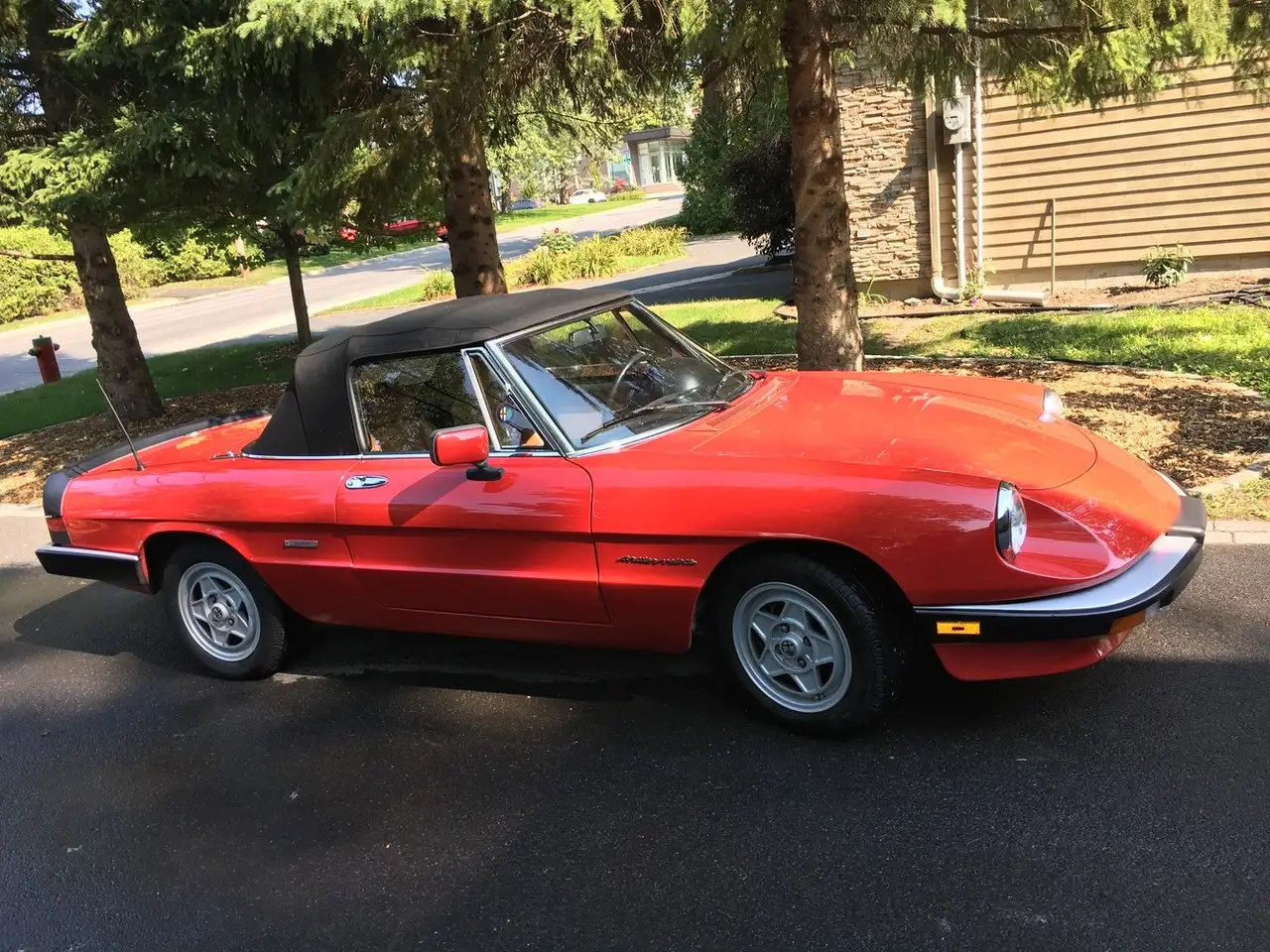 1986 Alfa Romeo Spider
