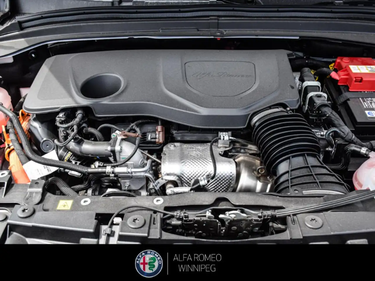 Alfa Romeo Tonale снимка Alfa Romeo Tonale